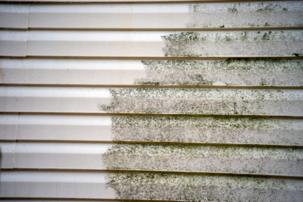 Best Composite Siding  in Poinciana, FL